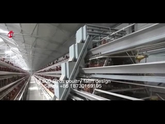 20,000の容量の養鶏場サンディのためのタイプ フル オートマチックの鶏のおり装置