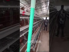 家禽養鶏場DorisのためのAかHのタイプ3か4層の鶏の電池のおり