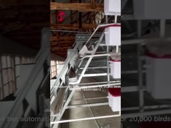 96羽の鳥のナイジェリアのアイリスの置く雌鶏のための自動鶏のおり装置電池の卵の層のおり