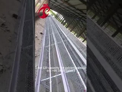 半自動家禽層ケージ 15000 鳥 手動家禽ケージ ナイジェリアのアイリス