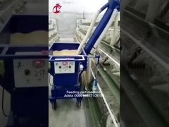 タイプおよびHのタイプ カスタム化のサイズの自動鶏の供給のカート アデラ