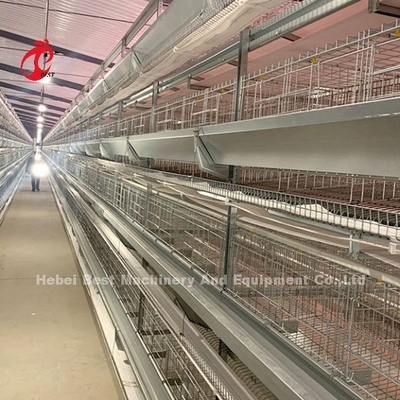 ホットディップ 熱電圧家禽ケージ システム 白層 農園 鳥居 アデラ