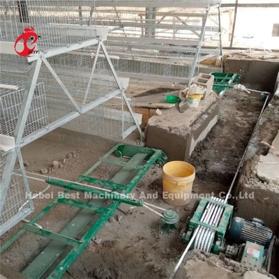 自動 380v 排泄物除去装置 鶏肉 鶏家 床スクレイパー Ada