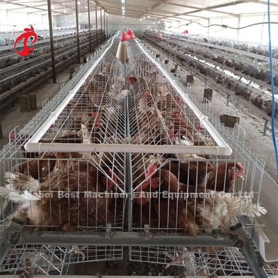 飼育ケージ 養鶏場 育雛器 飼育器具 サンディ