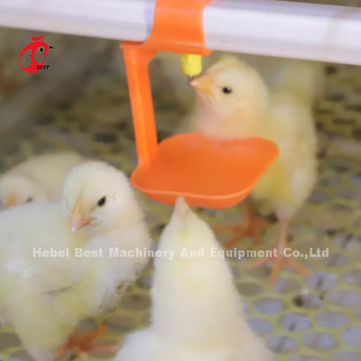 赤ん坊のひよこ2.5mmの保育箱のおりの自動養育システム ローズ