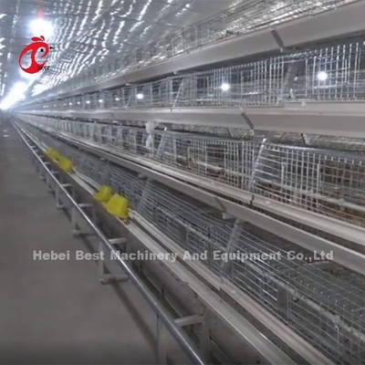 初生層のひよこを育てる電流を通された120の容量の保育箱の鶏のおりは絞る