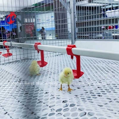 96羽の鳥タイプ-養鶏場Dorisの1 - 12週のひよこの保育箱のおり