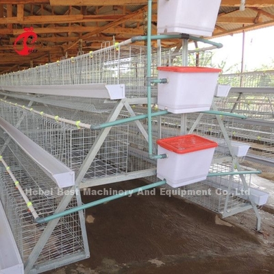デラックスな120羽の鳥の家禽電池おりシステム5細胞によって電流を通されるDoris