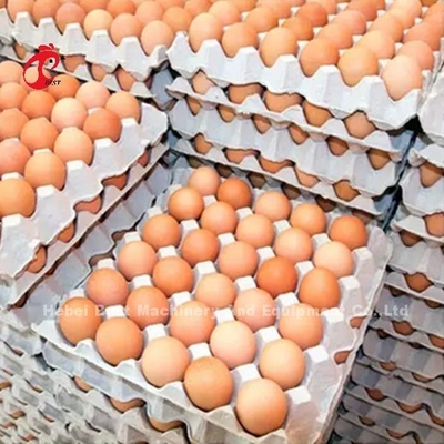 タイプ層バッテリーケージシステム 5000 卵を産む鶏場ミア