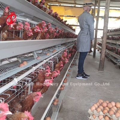 養鶏場の砂浜のための 5 つの層 200 の鳥によって電流を通される家禽の層のおりシステム