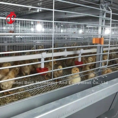 最良のガルバン化自動型H型鶏飼育肉鶏ケージシステム