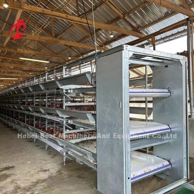 養鶏場エミリーのための自動層160の鳥の鶏電池おり