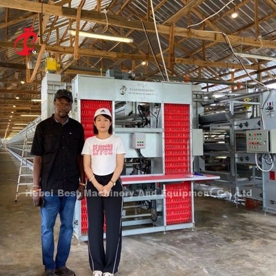 輸入されたガルバン化ケージシステム 養鶏のための層H型ドリス