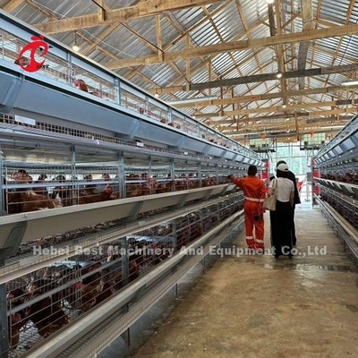 輸入されたガルバン化ケージシステム 養鶏のための層H型ドリス