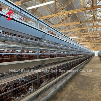 120の鳥容量の家禽電池おり自動AまたはHの層の農場Doris