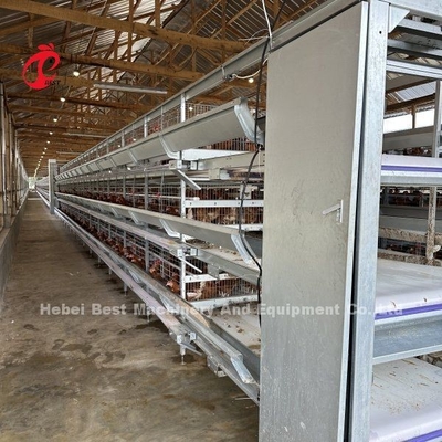 卵 鶏 養鶏 鳥類 層 檻 静電噴霧 アダ