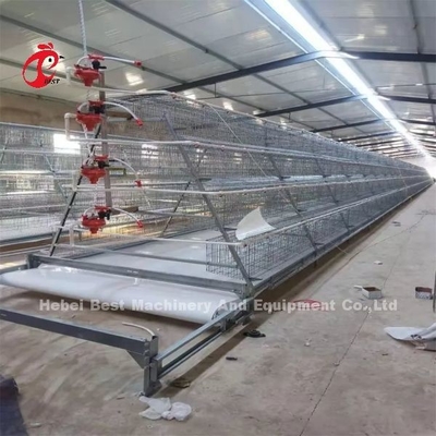 H型自動 H型ブロイラー 鶏檻 ビデオ装置 出勤検査 提供されたローズ