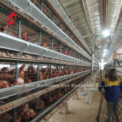 5 レベル 鶏飼育ケージシステム 自動卵収集機械 熱付アイリス