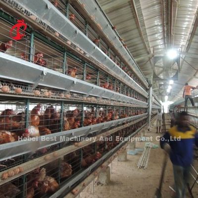 半自動層ケージシステム 2.2m × 2.4m × 1.95m 鶏場アイリス