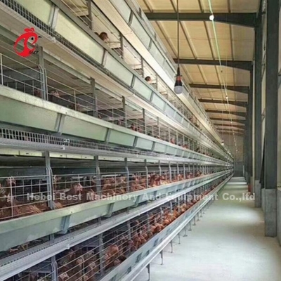 層農場のためのモジュール的な家禽ケージシステム 熱浸し電池ケージ容量 96-200 鳥 サンディ