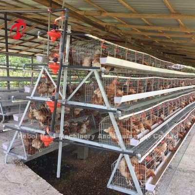 3 Tier 120 Birds And 4 Tier 160 Birds Layer バッテリーケージ システム ウガンダ タンザニア 鶏場 サンディ
