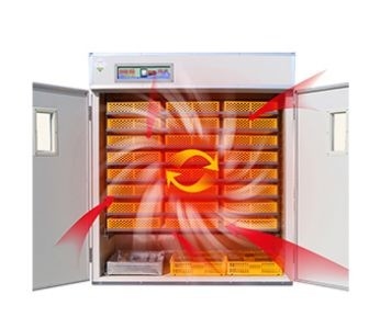 定温器の二重層の観察窓220vを工夫する産業自動卵