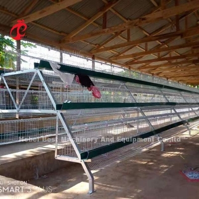 養鶏場Q235の鋼鉄エミリーのための熱い浸された電流を通された層電池おりシステム