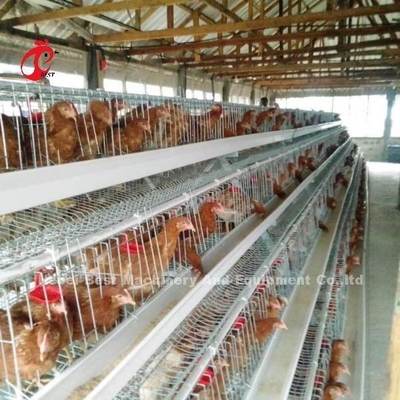 最もよい質タイプ層のおり電池の層の卵の鶏のおり240の鳥エミリー