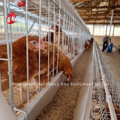 層の家禽耕作の鶏のおりサンディのための最もよくタイプ鶏のおり500の鳥
