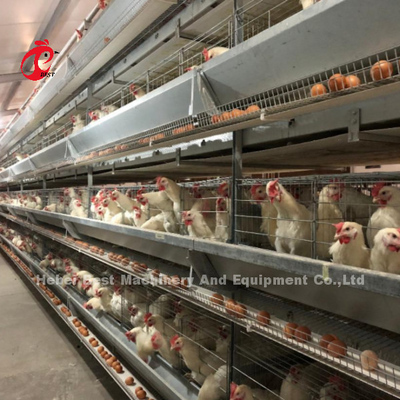 Hのタイプ層電池おりシステム4列は養鶏場装置のセリウムの承認サンディを層にする