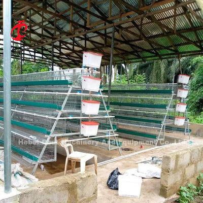 層の鶏サンディのためのナイジェリアの倉庫の優れた、デラックスな家禽電池おりシステム