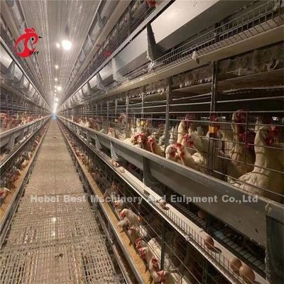 144 鳥 容量 H 型 商用 鶏 ミア 用 層 檻