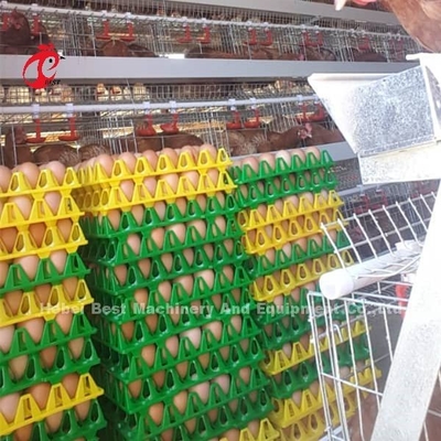 層のおりの自動家禽耕作のおりシステム普及した良質の卵の層はローズをおりに入れる