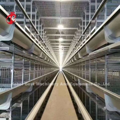 大きい農場アデラのためにフル オートマチック タイプ層の鶏電池おり
