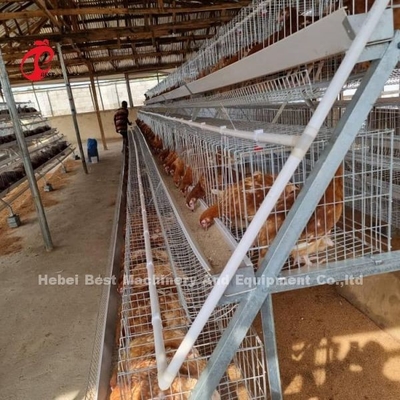 完全に自動 80-100kg 重量層 鳥類ケージシステム スライドドアローズ