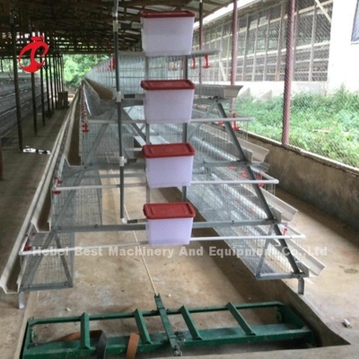 自動層電池おりシステム商業層の鶏のおり3層の熱い販売ローズ