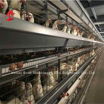 商業鶏Miaのための広く利用された鉄ワイヤー家禽の層のおり