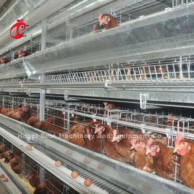 容易な4つの層の家禽耕作のおりシステムは電流を通された鶏のおりDorisを取付ける