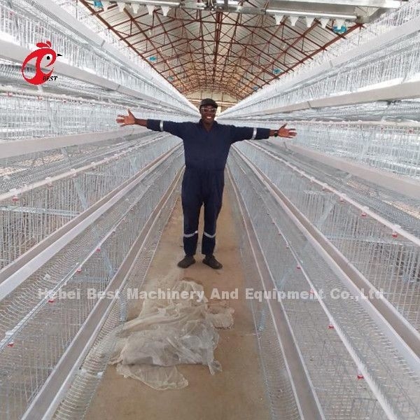 養鶏場の砂浜のための 5 つの層 200 の鳥によって電流を通される家禽の層のおりシステム
