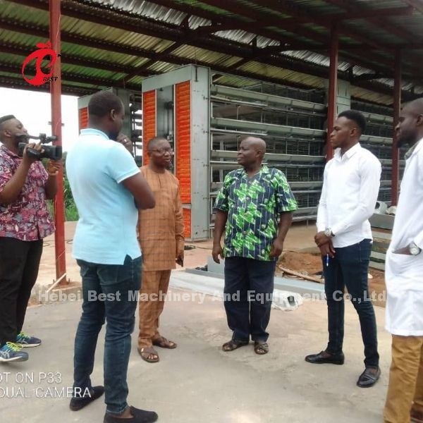 半自動層ケージシステム 2.2m × 2.4m × 1.95m 鶏場アイリス