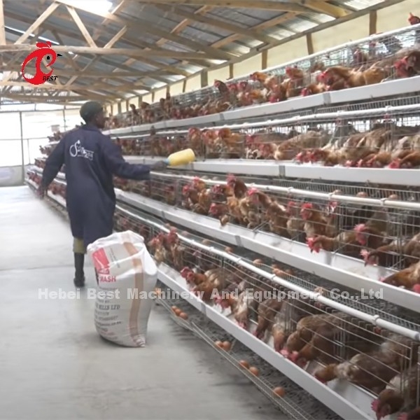 中国は上塗を施してある鶏電池おりISO9001の層の鶏のおりシステム4ドア サンディを輸入した