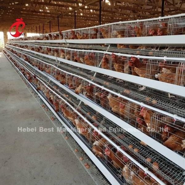 ザンビア アデラの層の販売160の鳥のためのタイプ家禽電池おりを割引きなさい