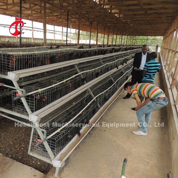 タイプ3層は鶏電池おり120の鳥450cm2の星を層にする